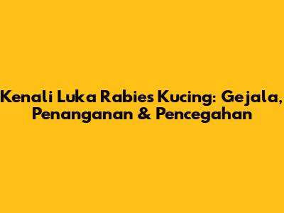 Kenali Luka Rabies Kucing: Gejala, Penanganan & Pencegahan